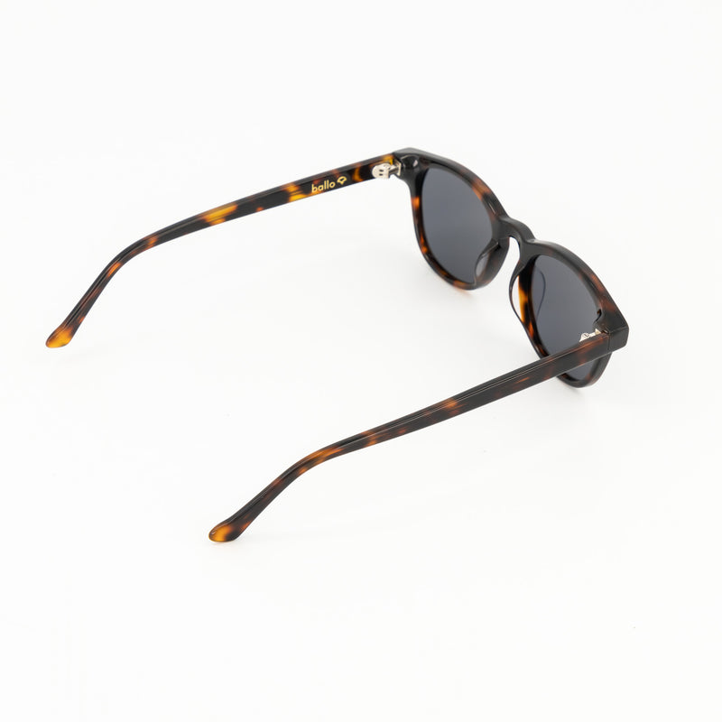 Bodhi / Bio Acetate / Tortoise - Polarized