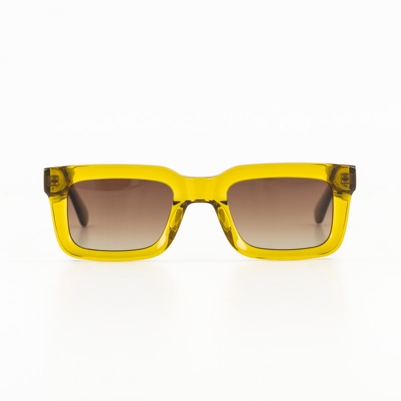 Ziggy / Bio Acetate / Kelp - Polarized